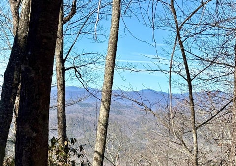 Photo for lot #13 Devils Hole Road 13