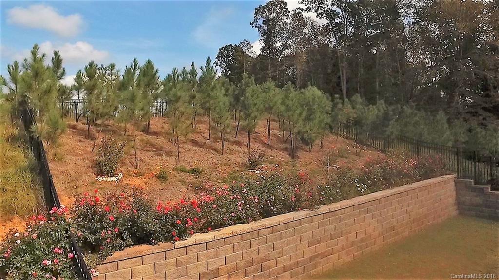 Carolina Reserve - Residential