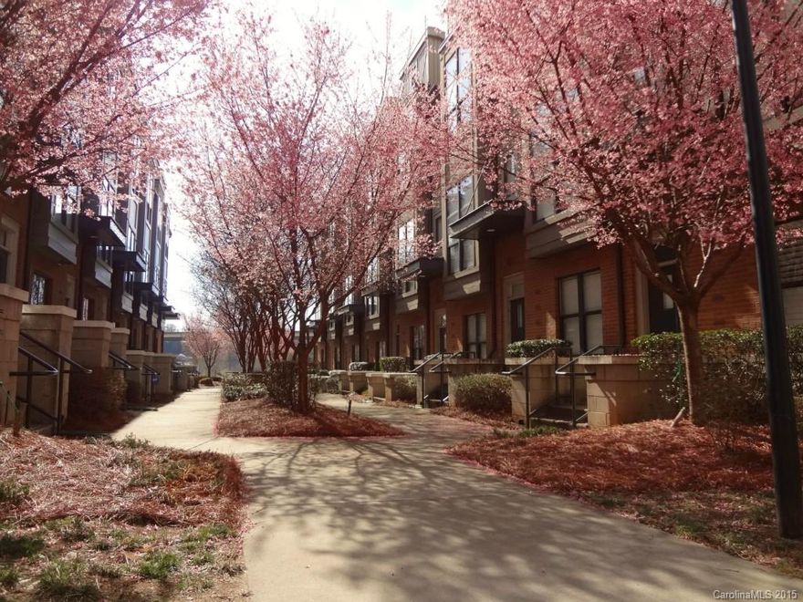 Wonderful three level home in Charlotte's 1st Ward. Location is key with easy access to Hornets, Panthers, and all Uptown has to offer. Home features granite and stainless steel appliances along with spacious master bedroom on top level. Outdoor patio is the perfect place to enjoy the warm weather with family and friends. Do not miss this opportunity!