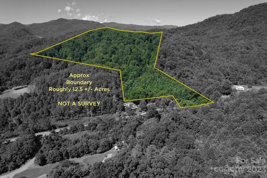 This unrestricted acreage is perfect for a homestead, recreation, or a mountain retreat.  Adjacent to the city limits of Sylva NC, this property is just minutes from restaurants, breweries, and downtown Sylva, and 13 minutes from Western Carolina University. Entrance into the property is level with the existing state-maintained road and there is a culvert in place to cross over the creek as you come into the property. A former farm road runs along the boundary before crossing into to the neighbor's parcel but could be re-routed to a nice gentle build site with long-range mountain views.  This is part of a 94-acre property and the buyer will need to survey off the land which is the portion to the west of Dills Cove Cove Rd.