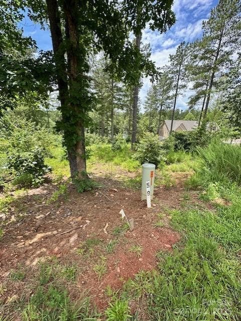 2120 Princeton Mountain None 59