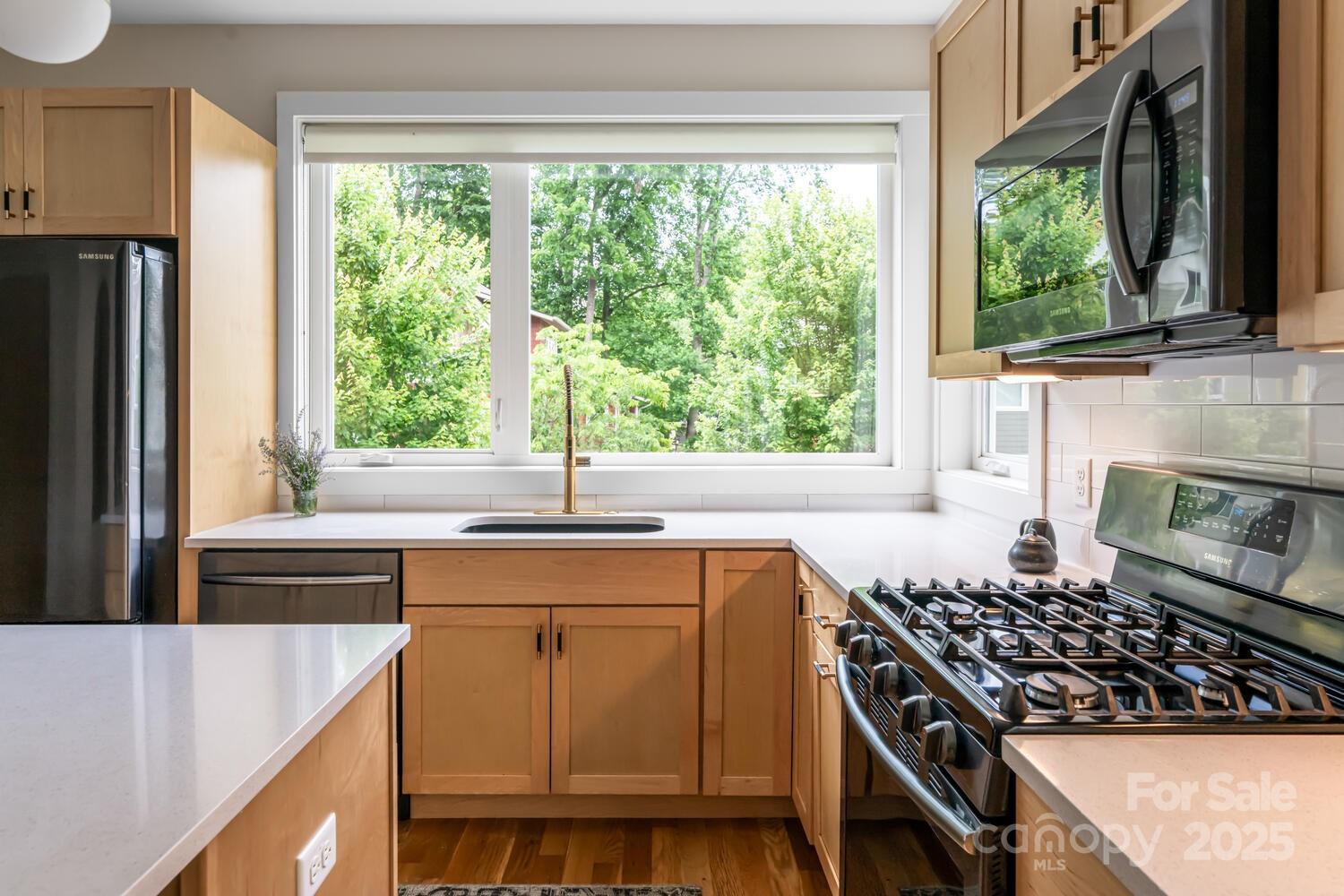 Craggy Park - Residential