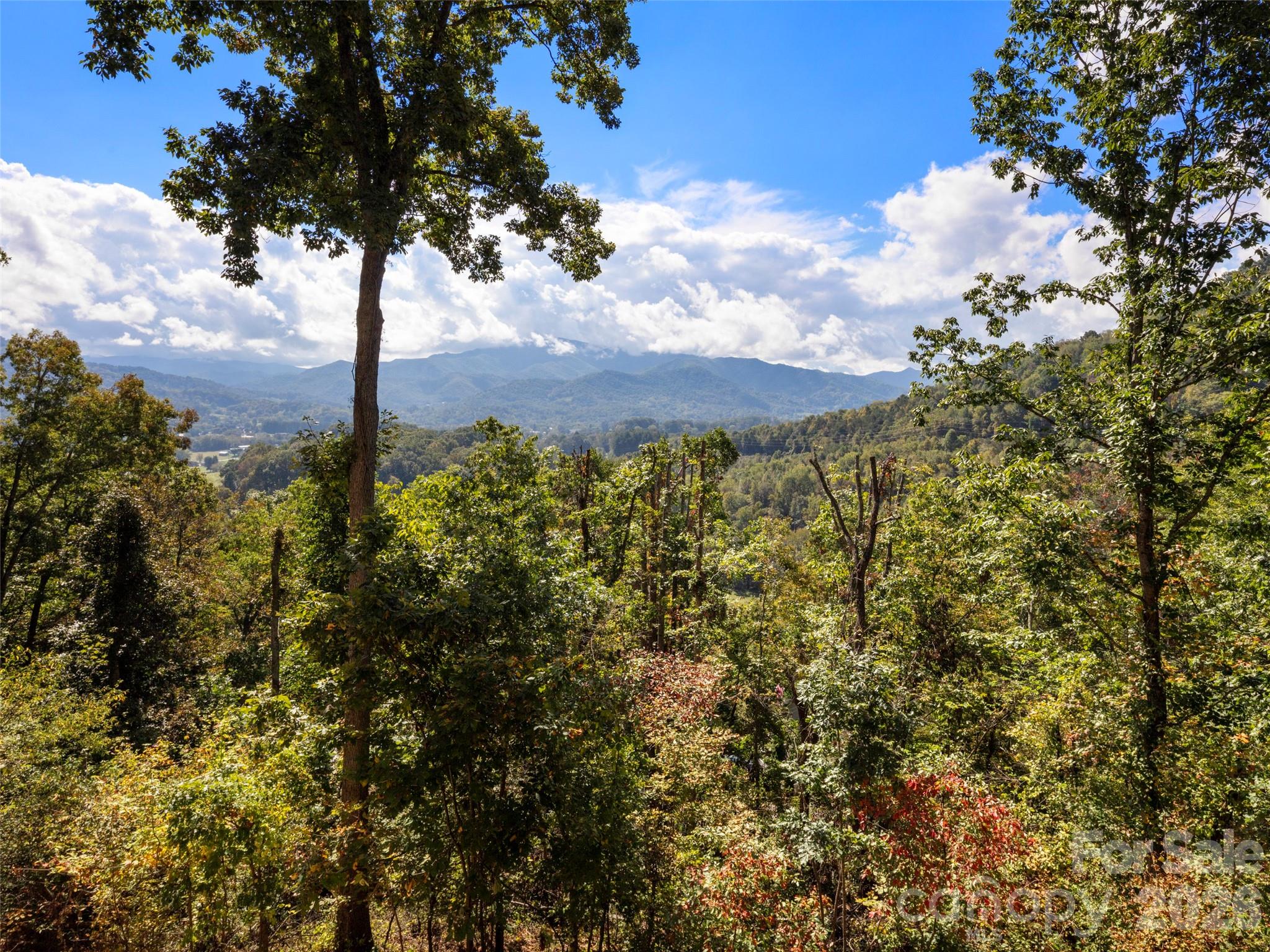 Spring Valley - Residential