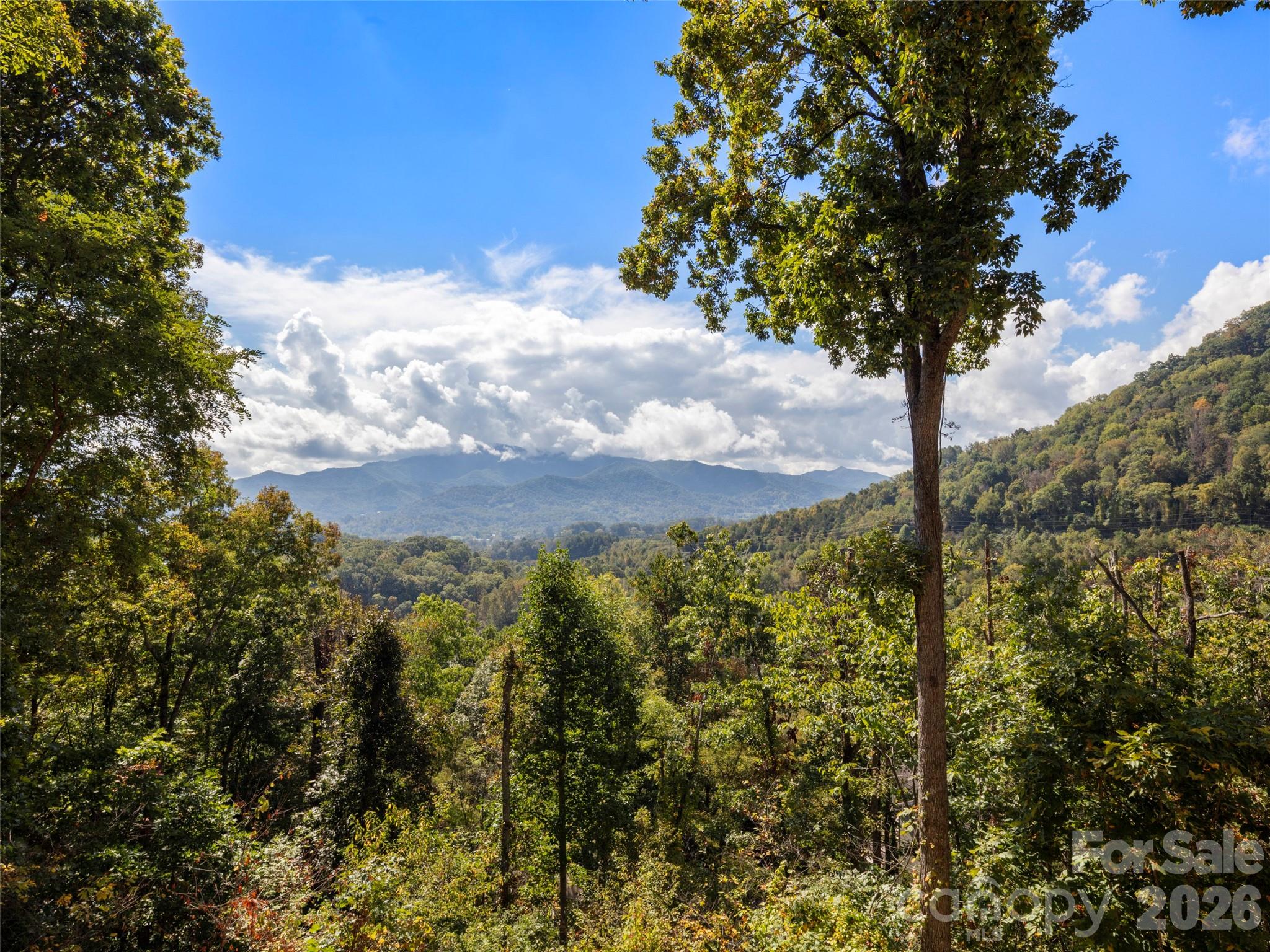 Spring Valley - Residential