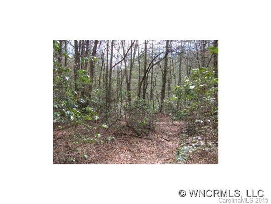 Very Unique tract of land. small .3 acre parcel located almost directly across the street from the North Fork River in Balsam Grove, would make for a great place to put a RV or tent camping site, with the river being so close. Ideal summer Mtn getaway property. Old roadbed graded into site. Walk to some of the areas best keep secret fishing holes.-