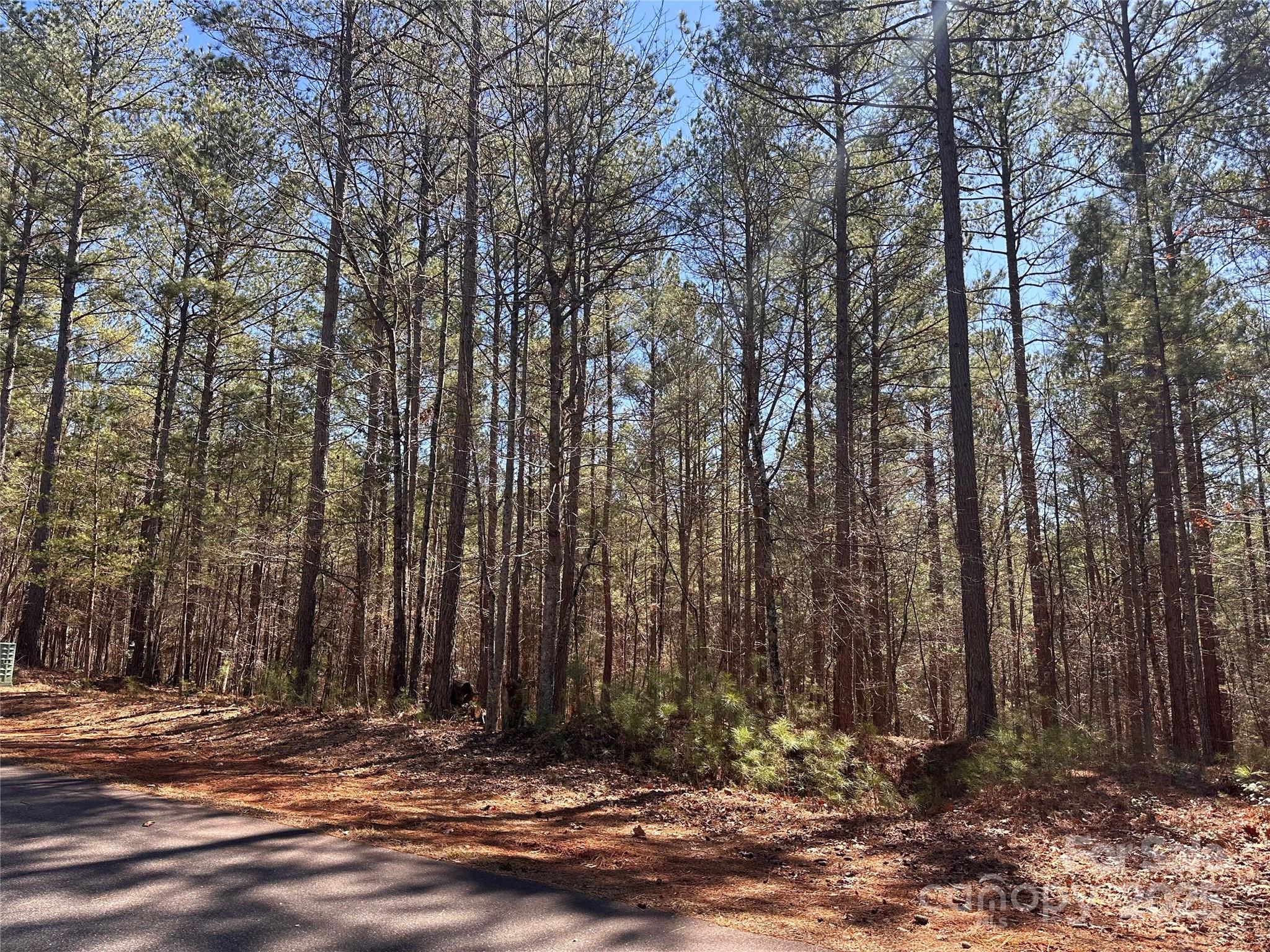 Paradise Harbor - Land