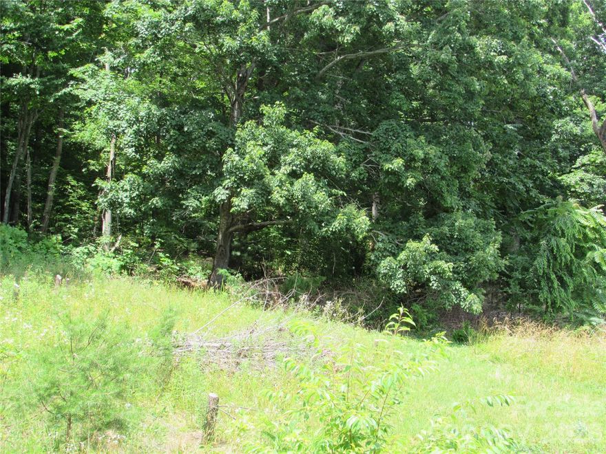 Desirable Location off Lake Eden Rd. Beautiful View all around. This .76 acre lot is mostly wooded but with young tree growth. Gently sloping with southerly views. There will be some restrictions put on the property such as no manufactured homes, minimum square footage, and no livestock. Just minutes from Camp Rockmont, Mountain Home Thrift Store, Owen High School, and minutes to I-40, downtown Black Mountain, or Swannanoa.  Water on Lake Eden Rd. The buyer will have to confirm if they can get a tap; otherwise, they will need a well. Restrictions,and road maintenance will be conveyed in deed at closing.