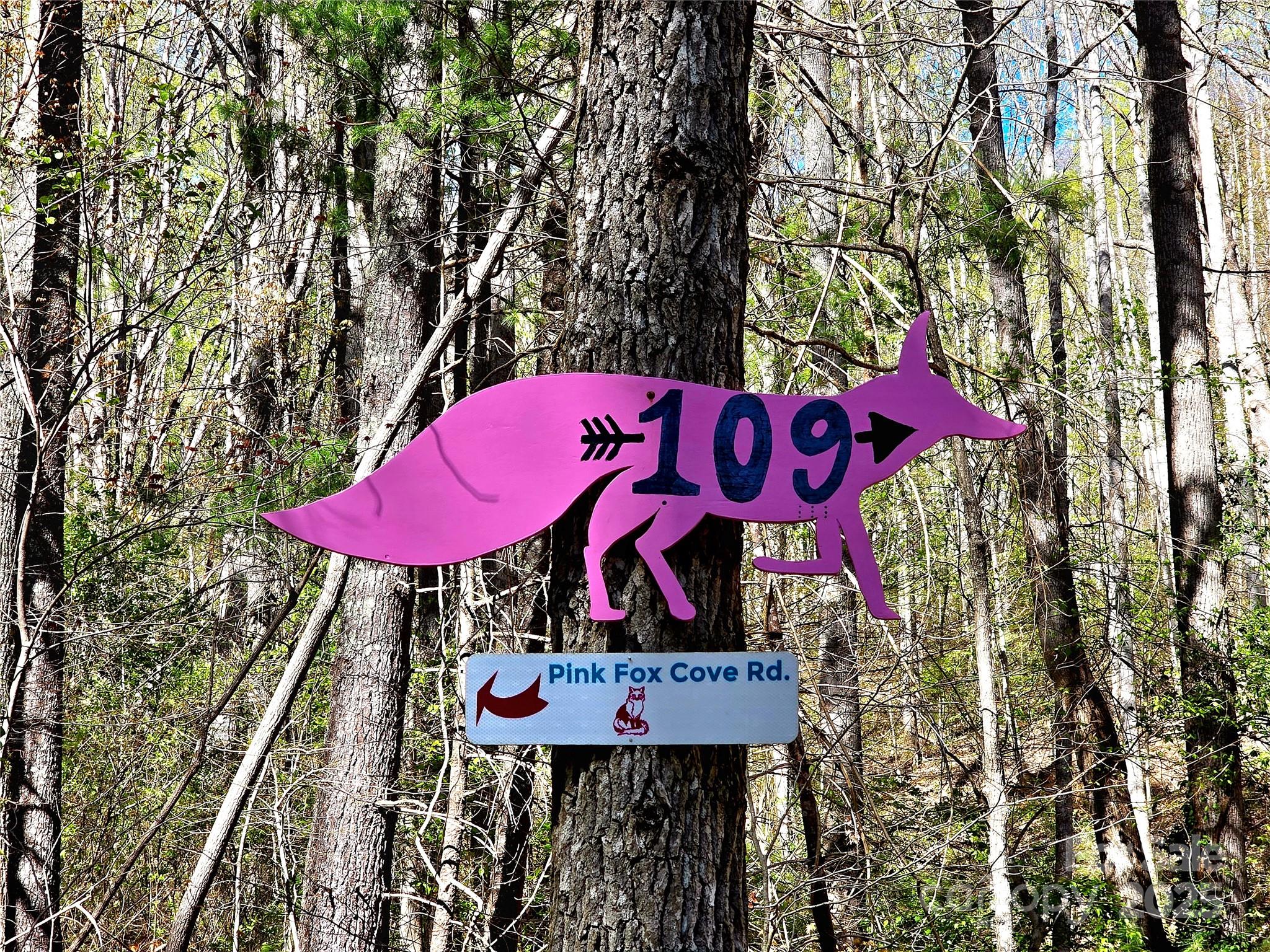 99999 Pink Fox Cove Road