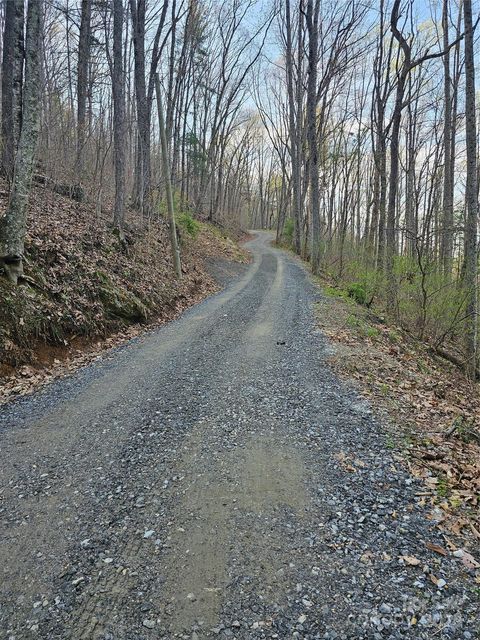 99999 Pink Fox Cove Road Weaverville NC 28787