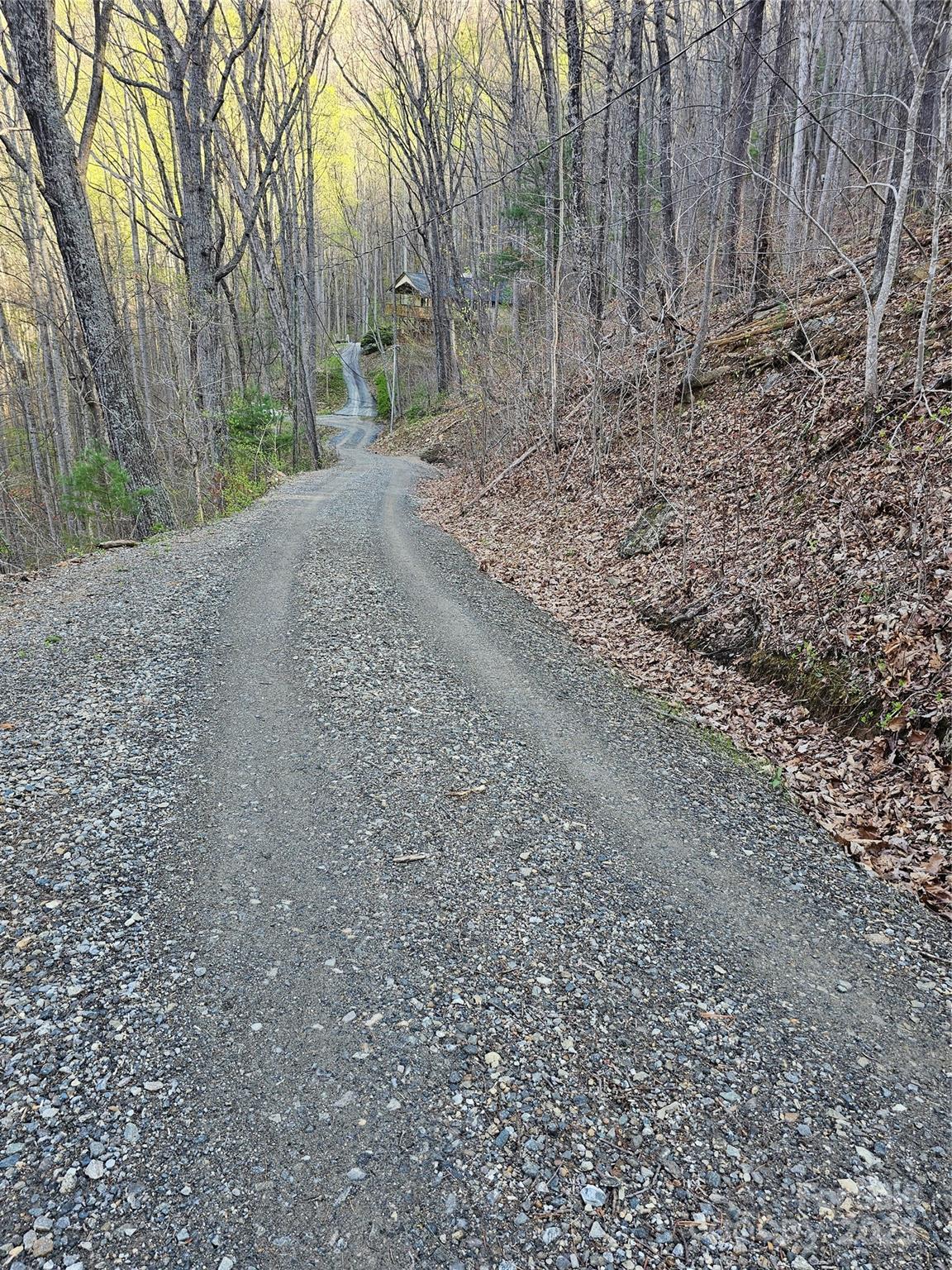 99999 Pink Fox Cove Road