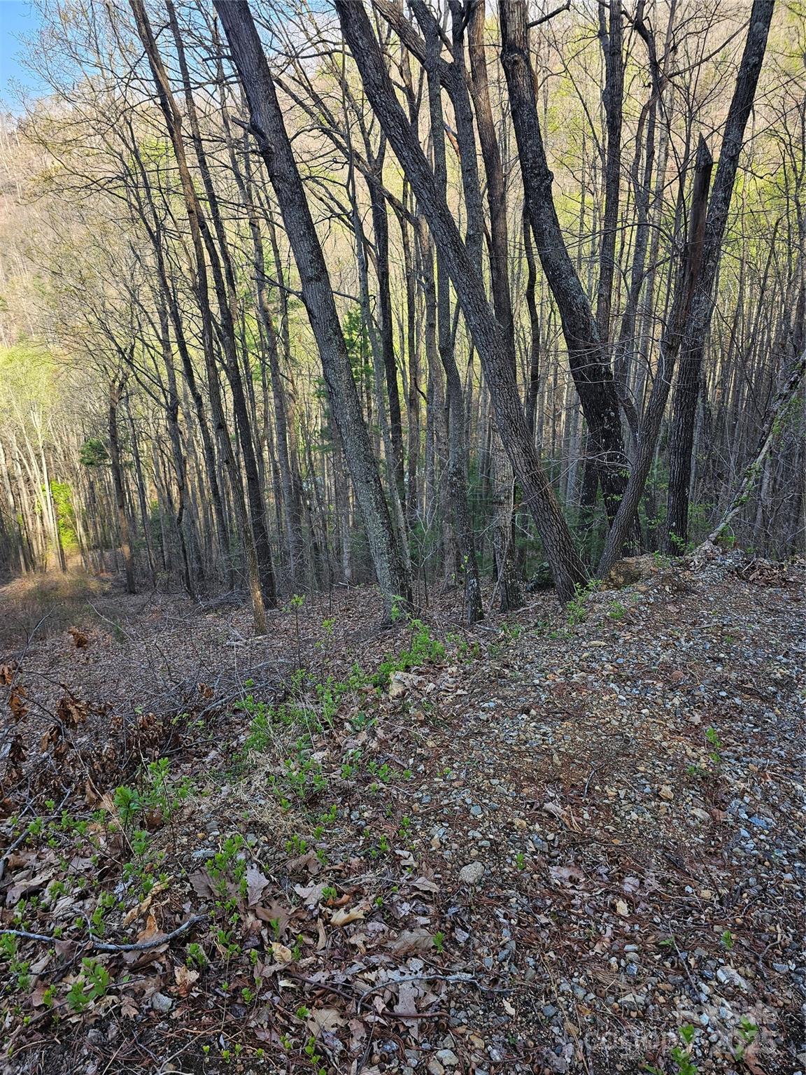 99999 Pink Fox Cove Road