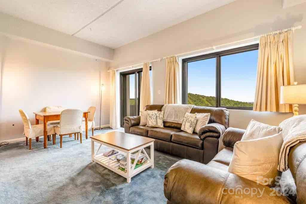 Sugar Top Resort Condominium - Residential