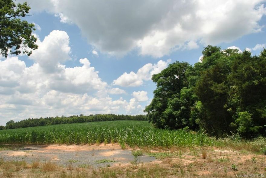 Beautiful tract of land in the Endy Community of Stanly County. Private setting with half of the property in crops and half of the property in woods. Great site to build a home or use for recreation. Great area for hunting. Soil evaluation has not been completed on the property but is in the process of being completed.