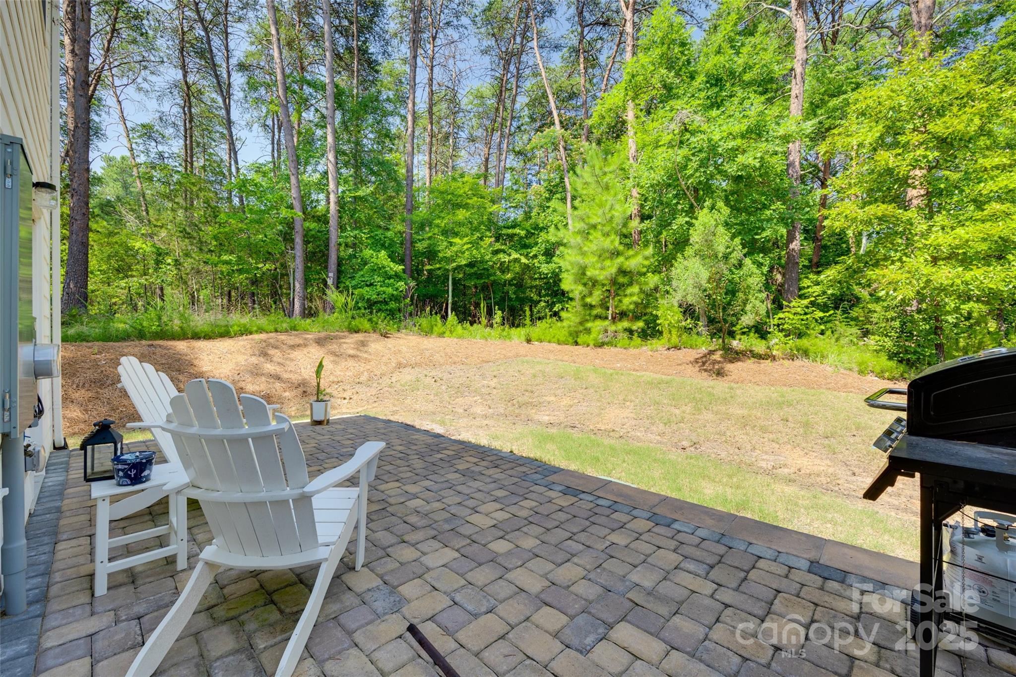 Colony at Handsmill - Residential