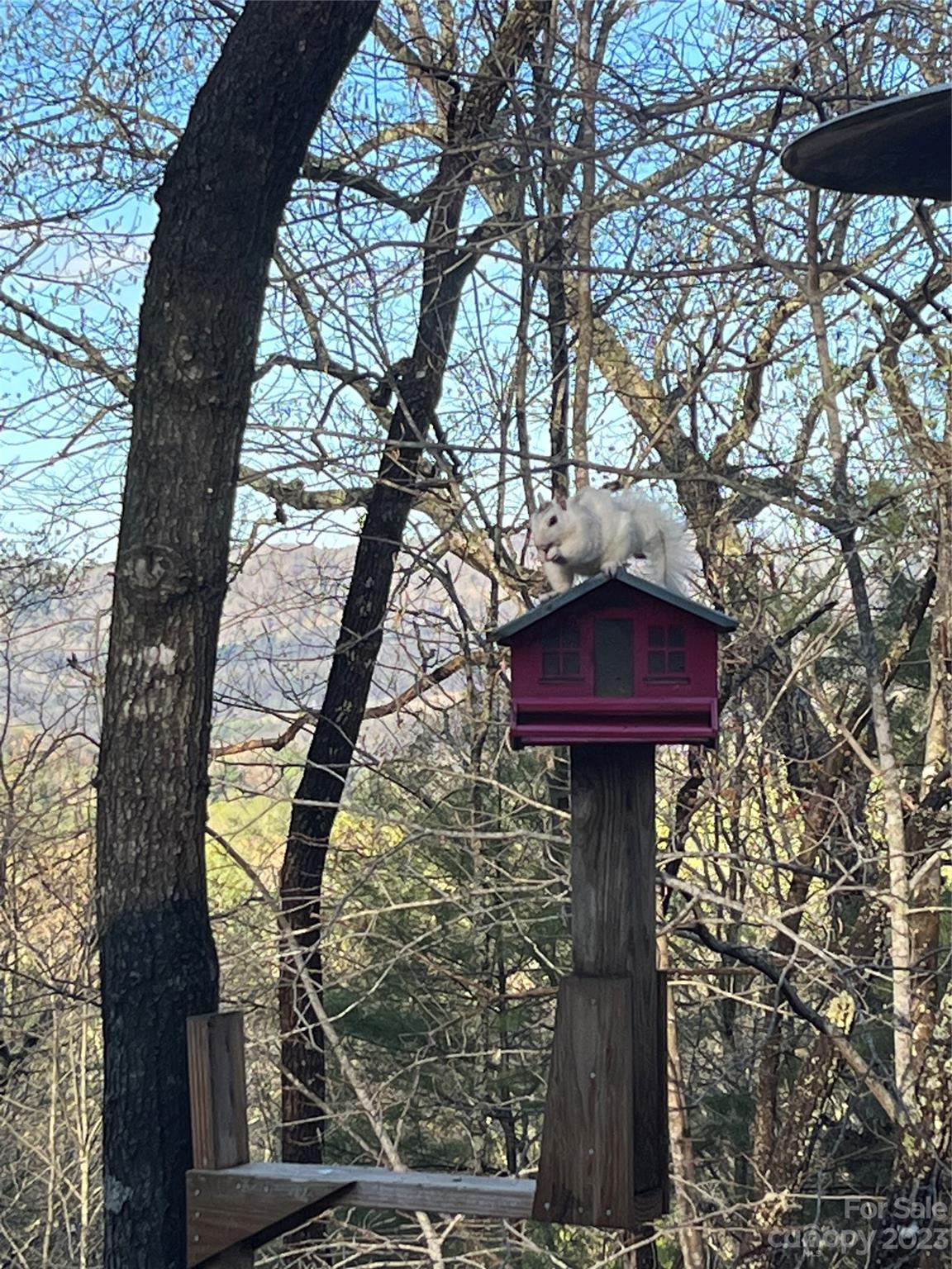 Jump Creek Estates - Residential