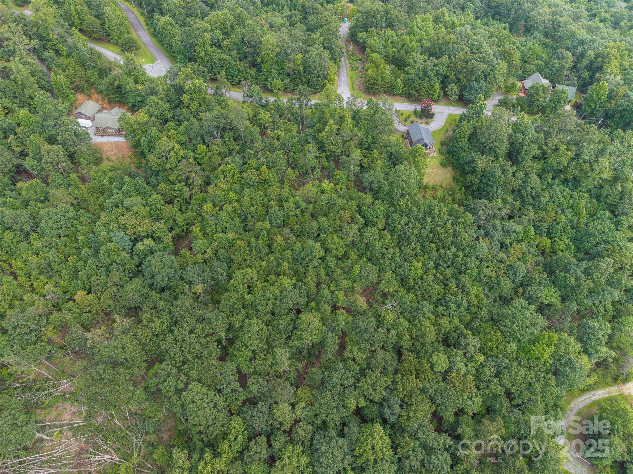 000 Arbra Mountain Way 50