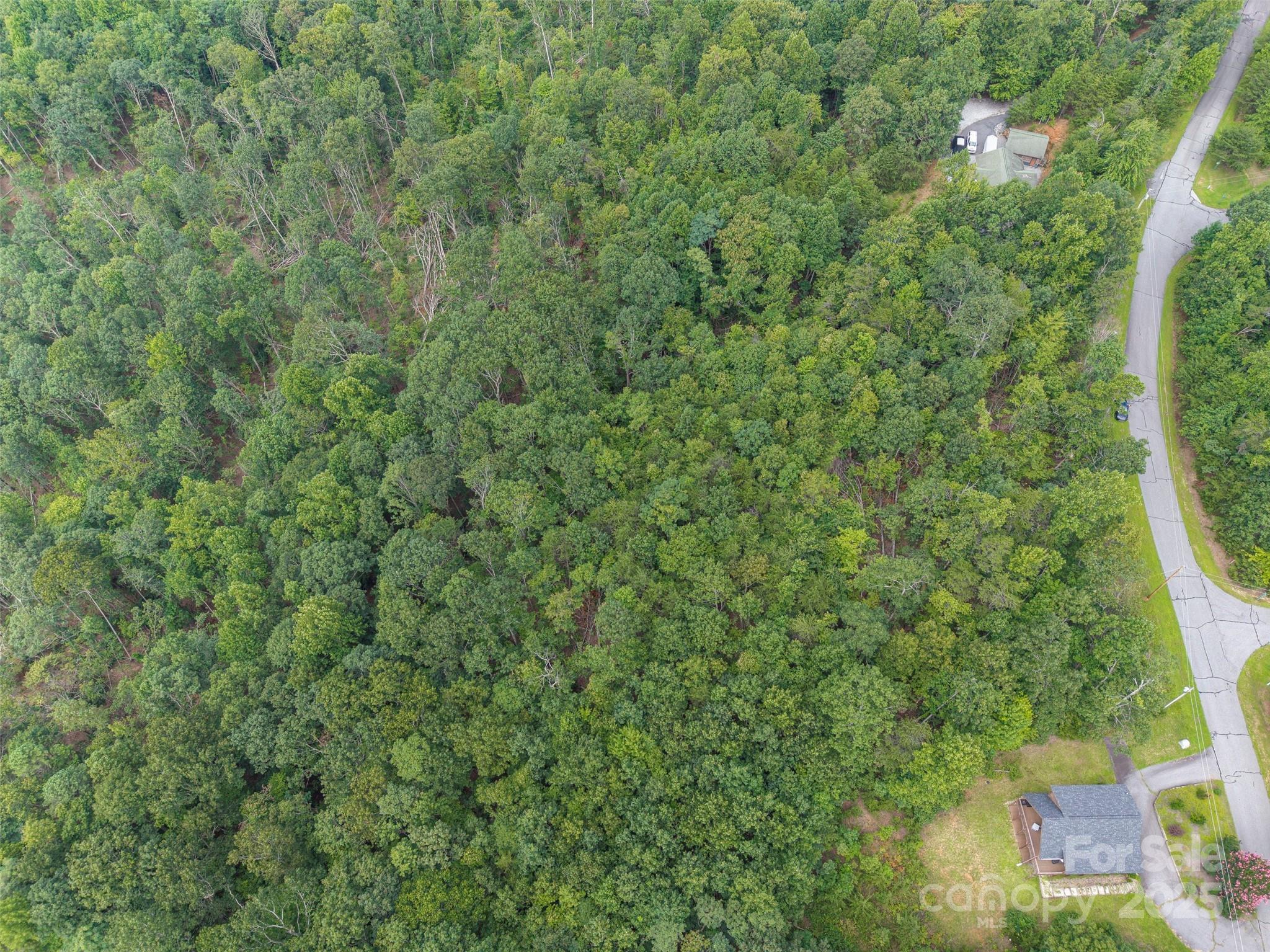 000 Arbra Mountain Way 50