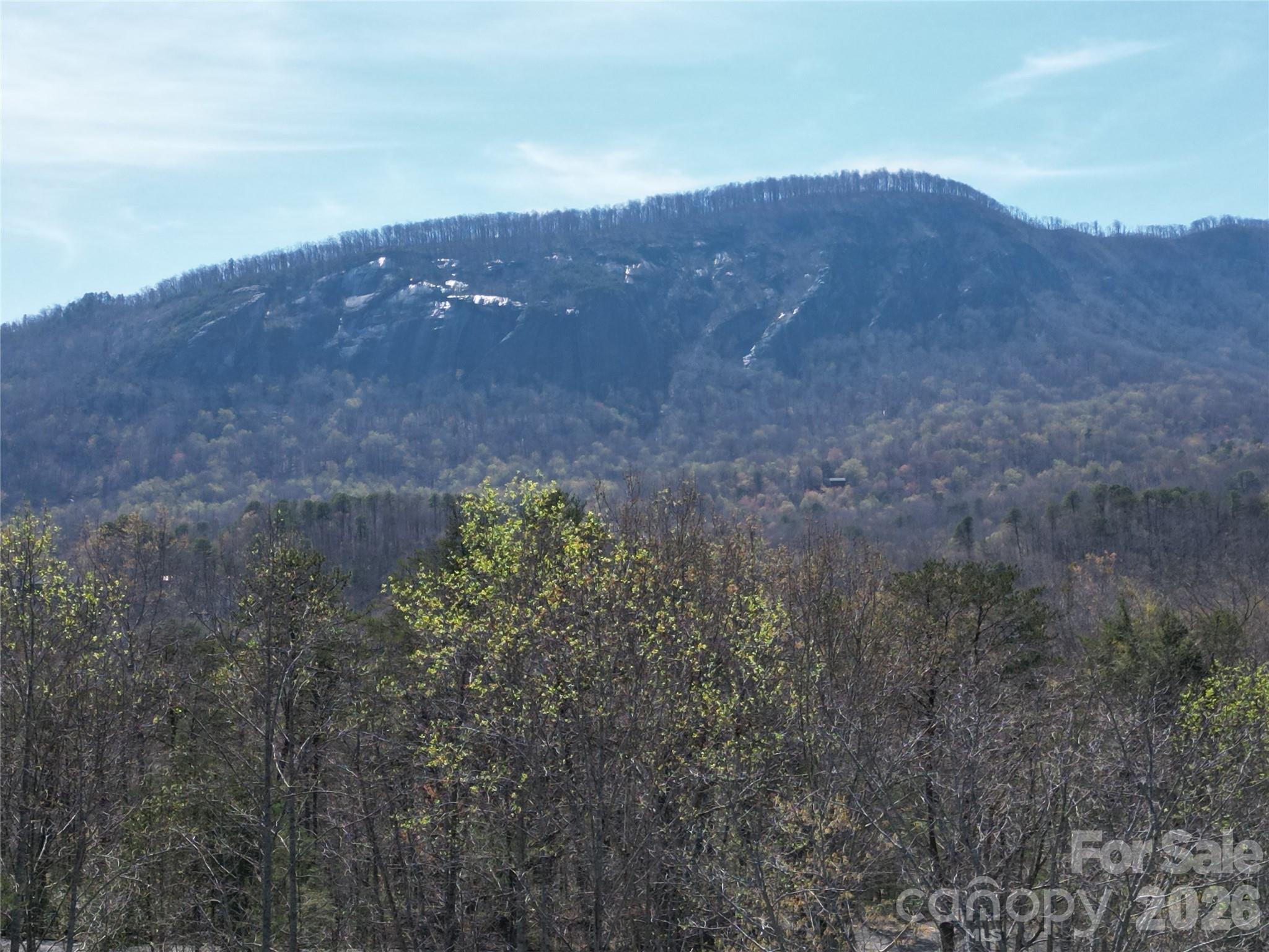 Rumbling Bald on Lake Lure - Residential
