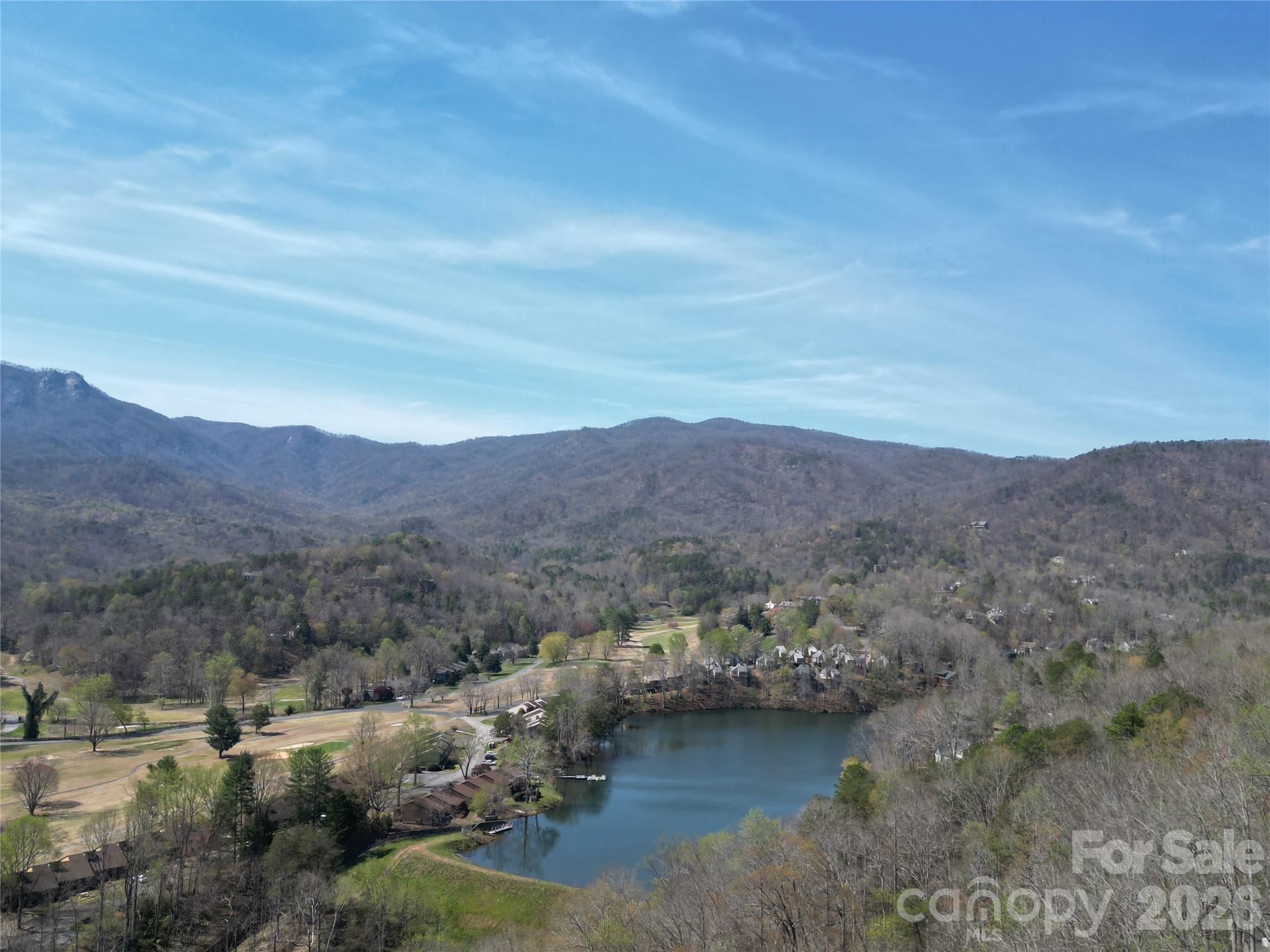 Rumbling Bald on Lake Lure - Residential
