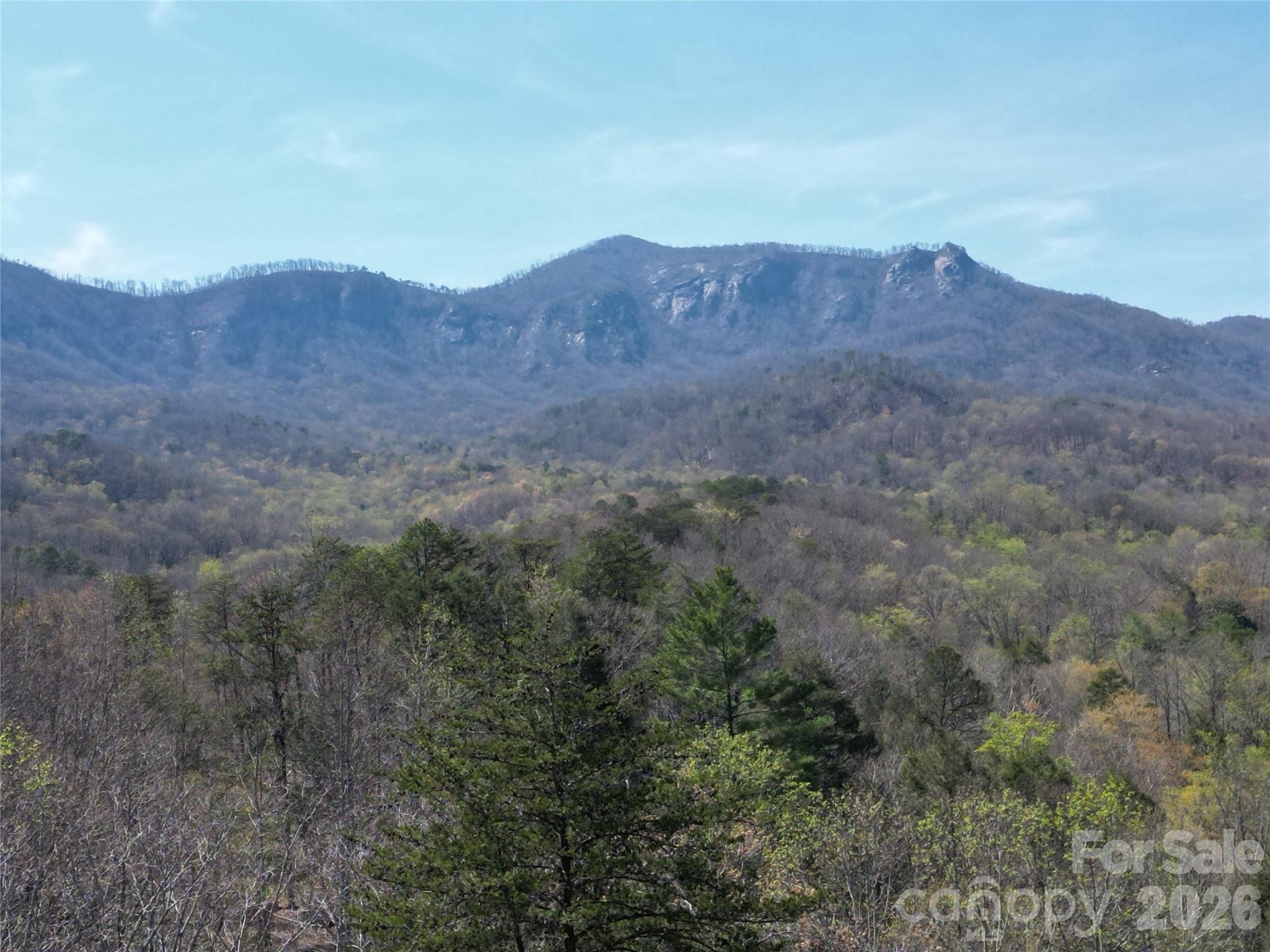 145 White Pine Drive