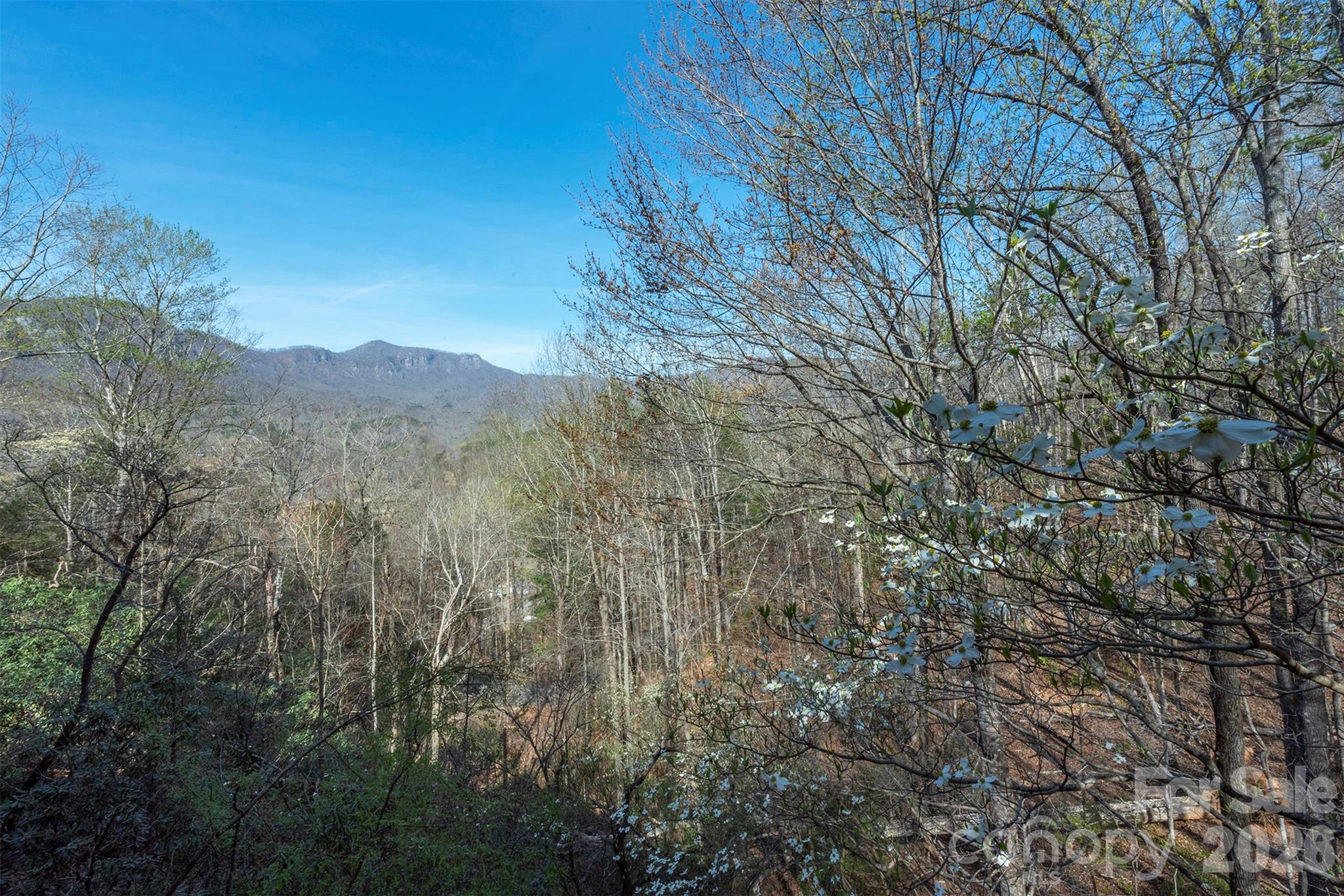 Rumbling Bald on Lake Lure - Residential