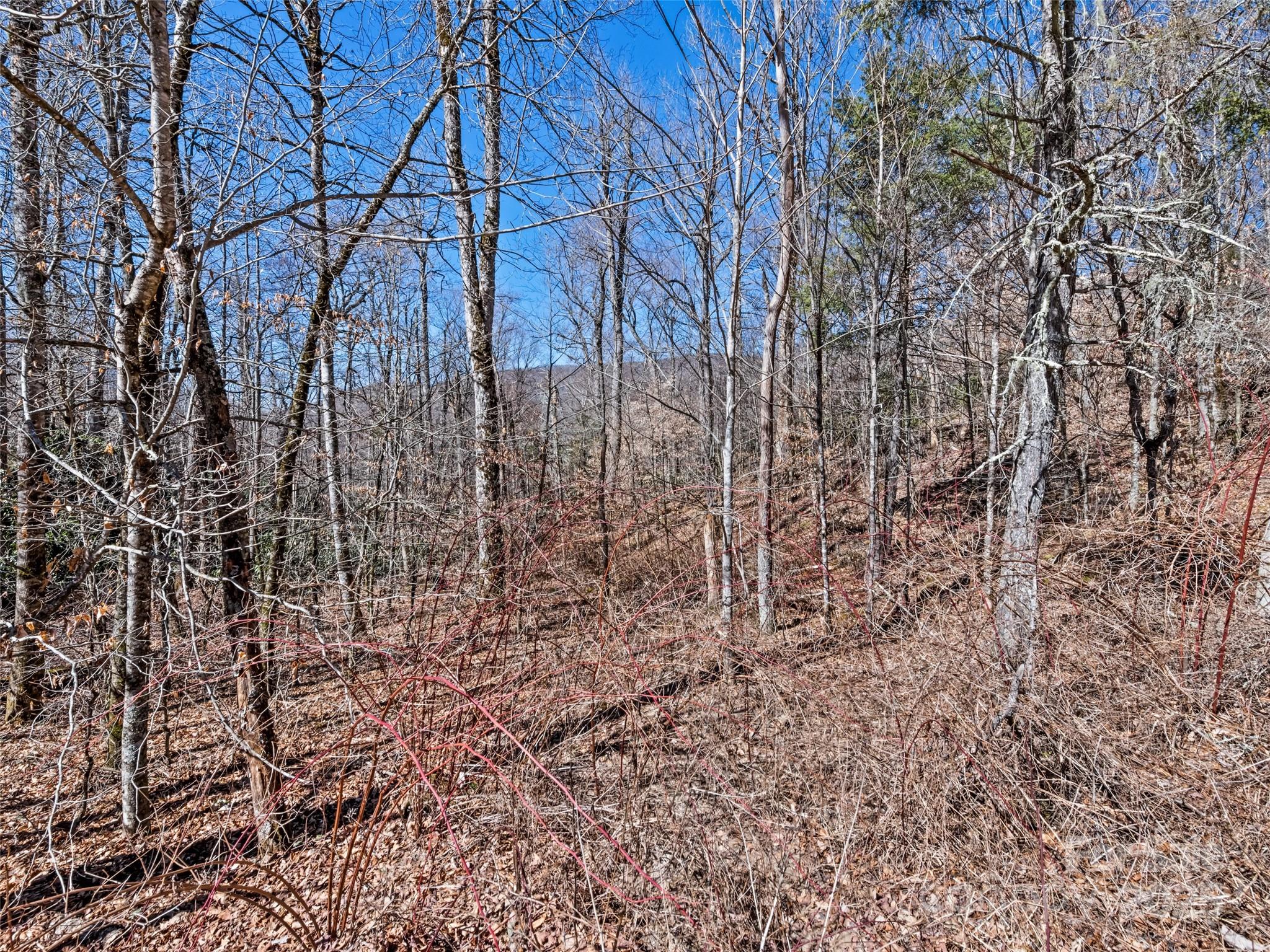 Cranberry Falls - Land