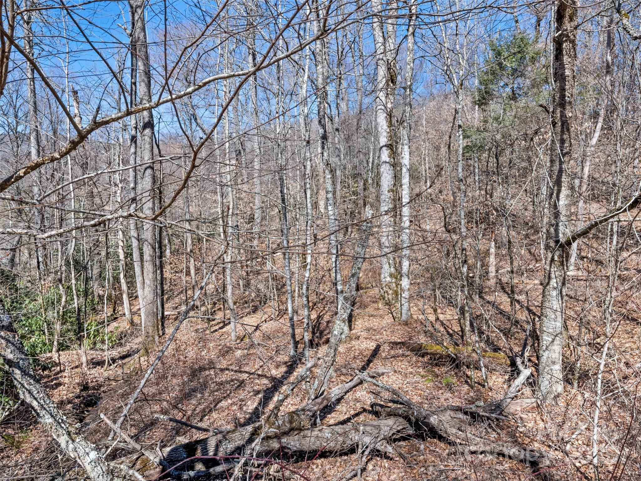 Cranberry Falls - Land