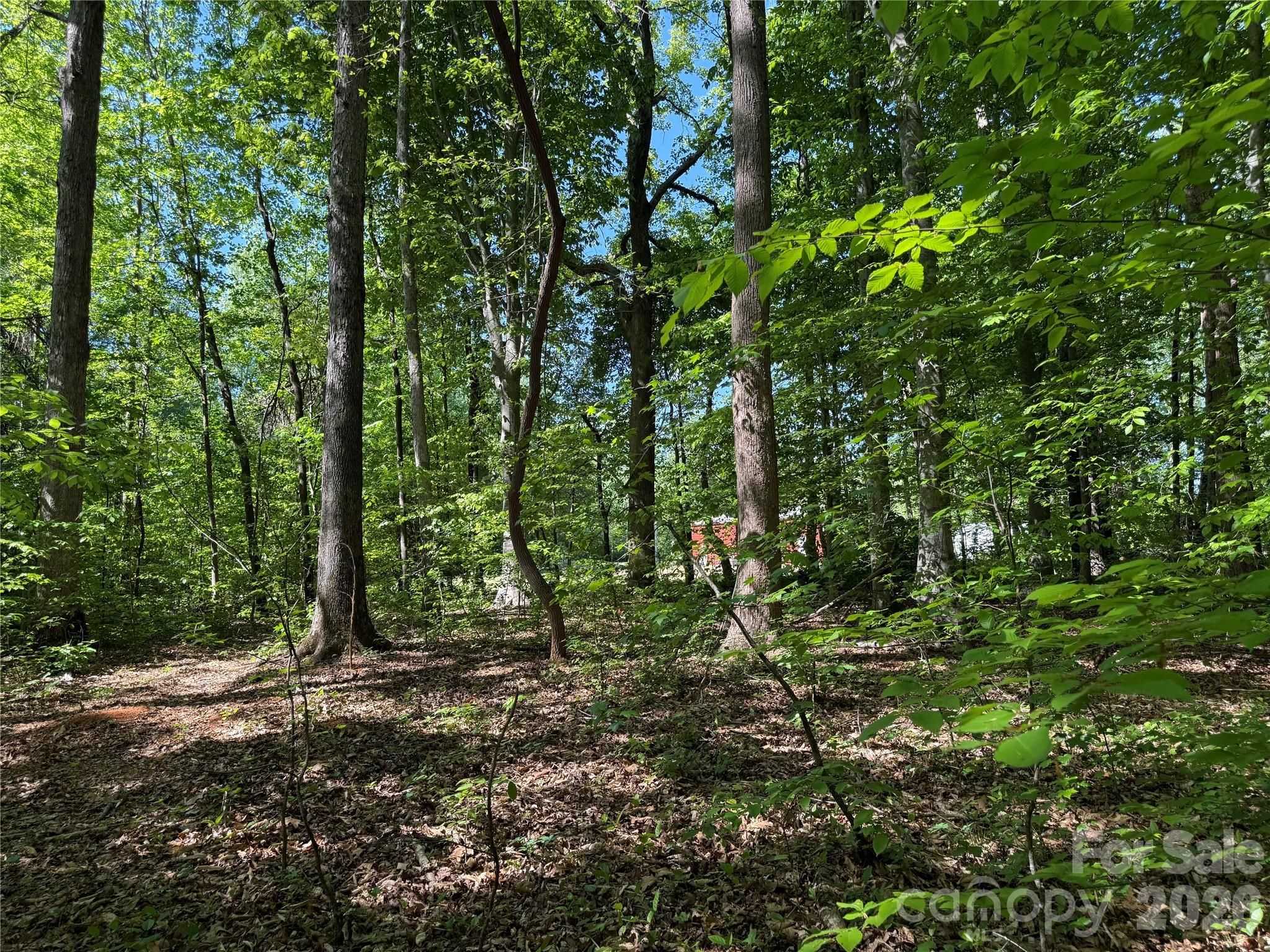 605 Shiloh Road