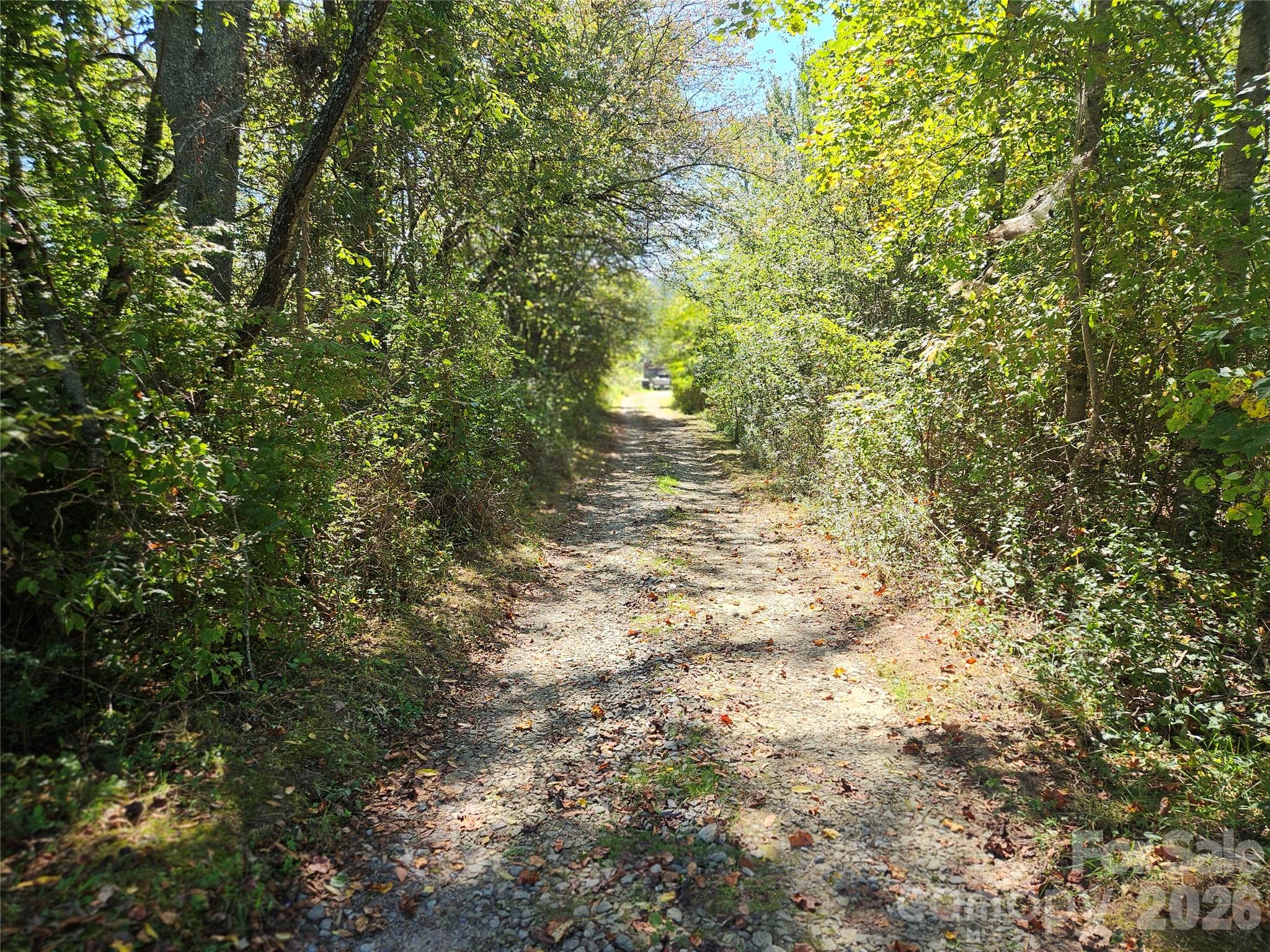 TBD Patterson Estate Road 5