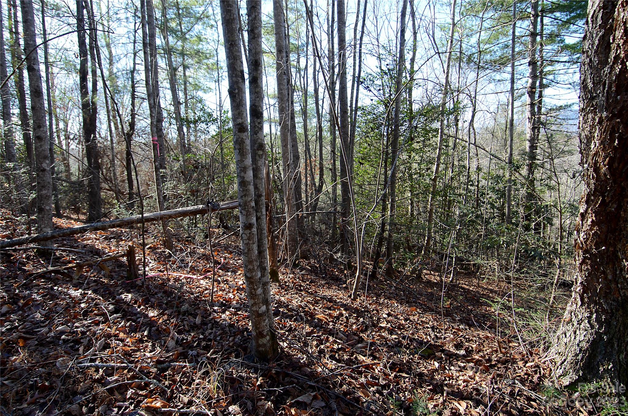 0 Wildwood Mountain Lane 8