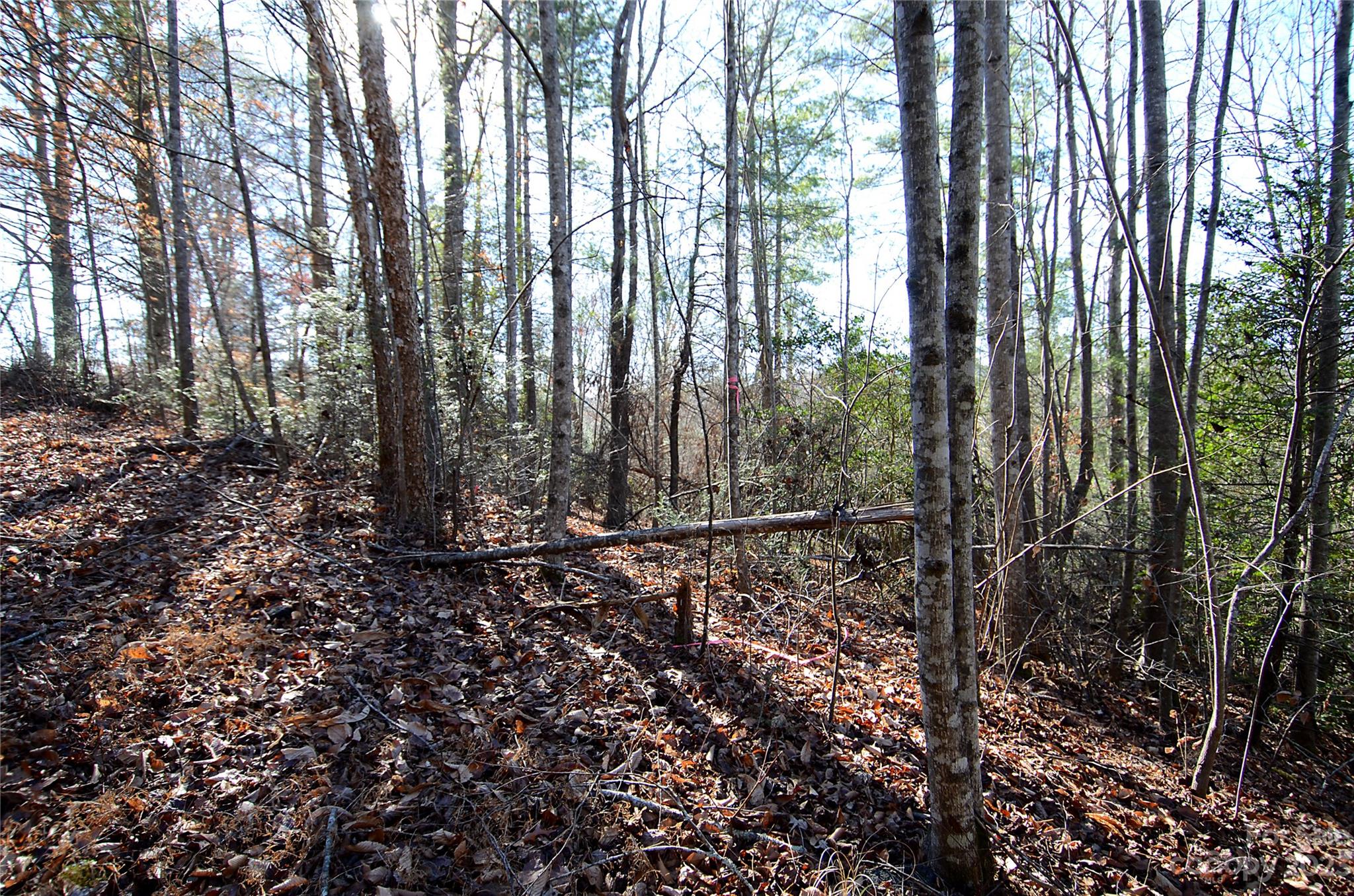 0 Wildwood Mountain Lane 8