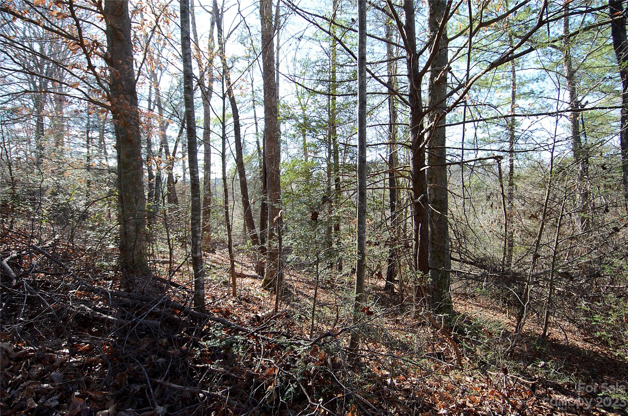 0 Wildwood Mountain Lane 8