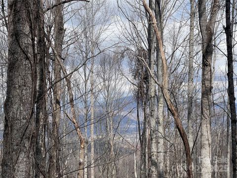 00 Old Country Road Waynesville NC 28786