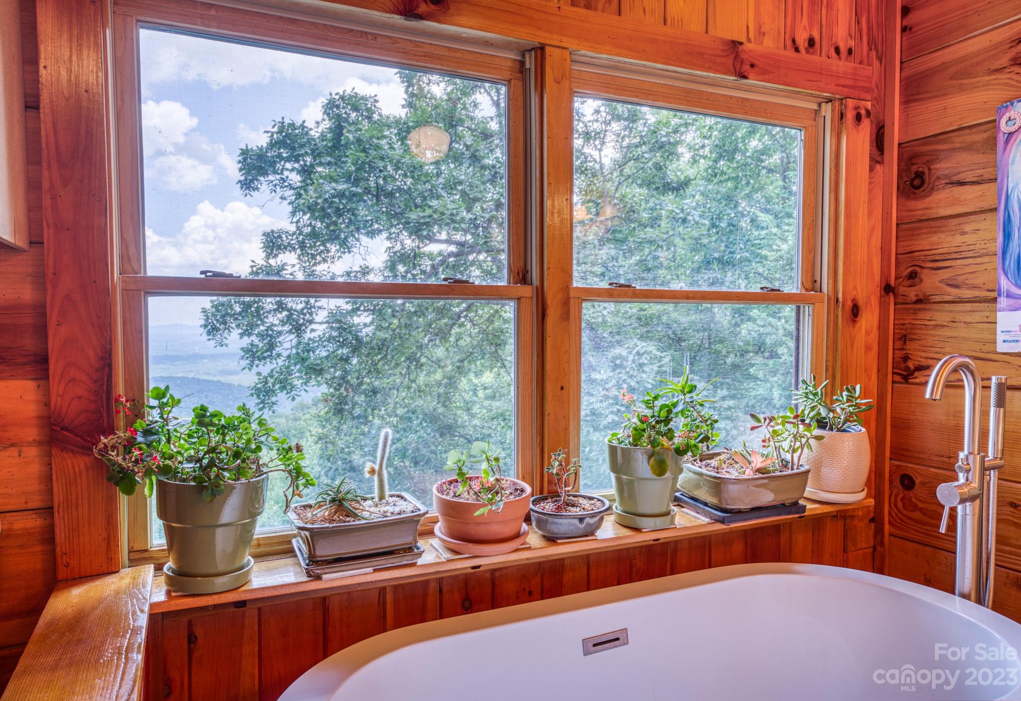Pinnacle Mountain - Residential