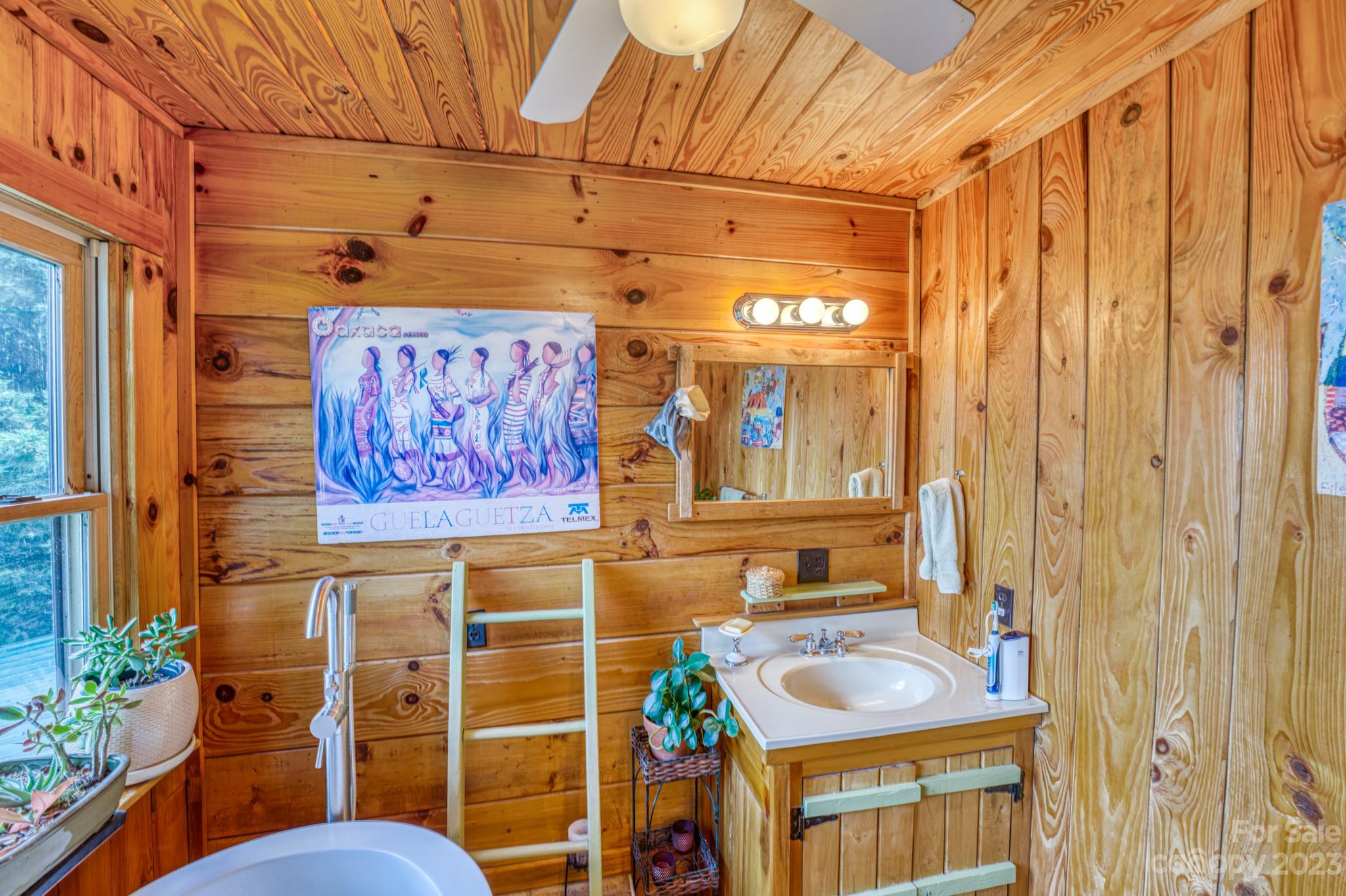 Pinnacle Mountain - Residential