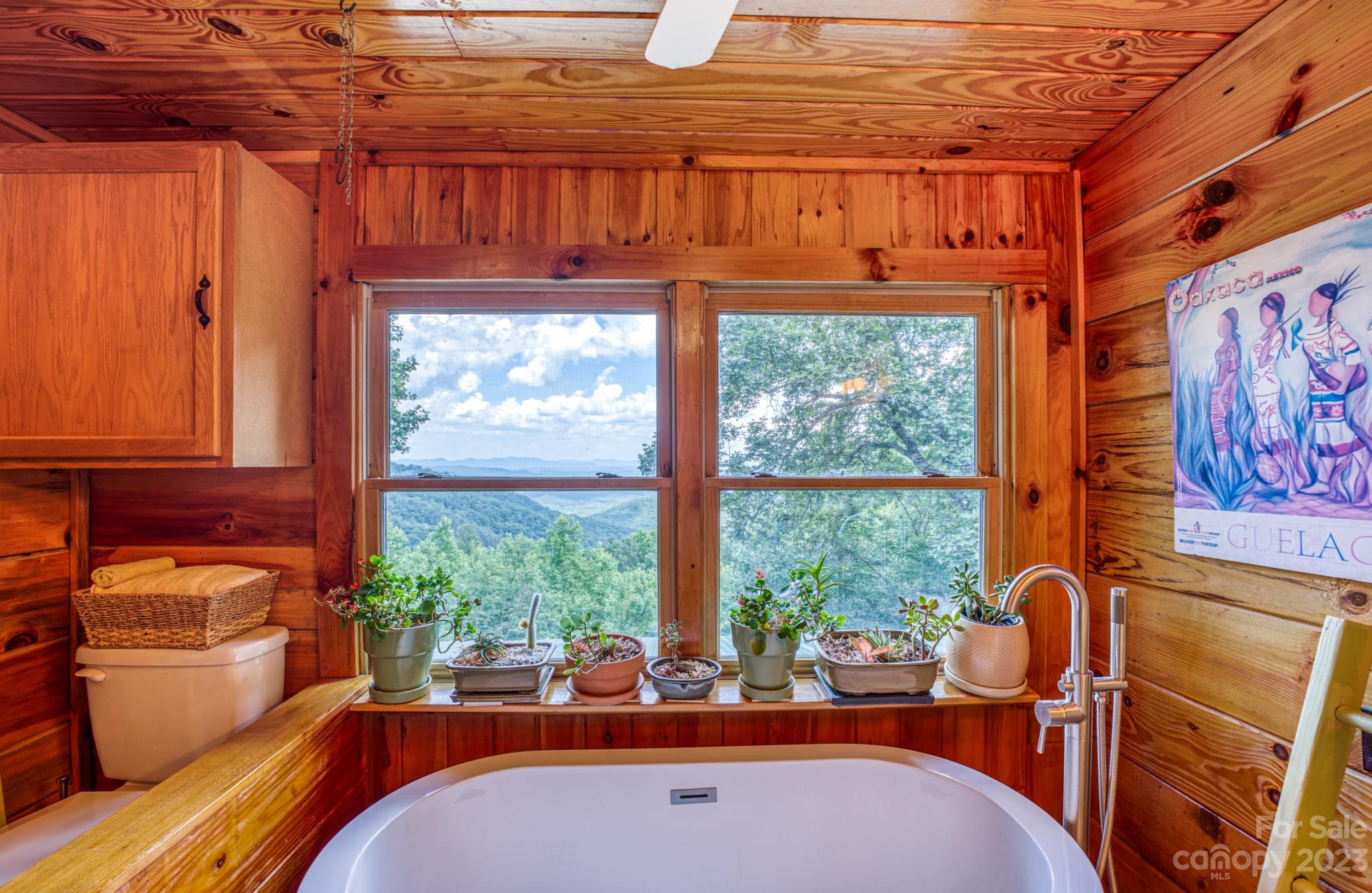 Pinnacle Mountain - Residential