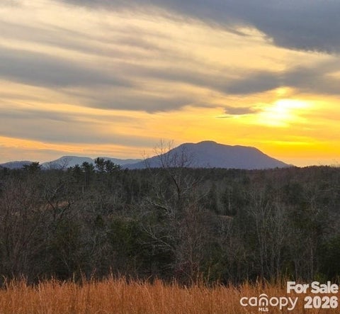 Photo of LOT #1 Price Summit Way, Mill Spring, NC 28756 (MLS # 4397262)