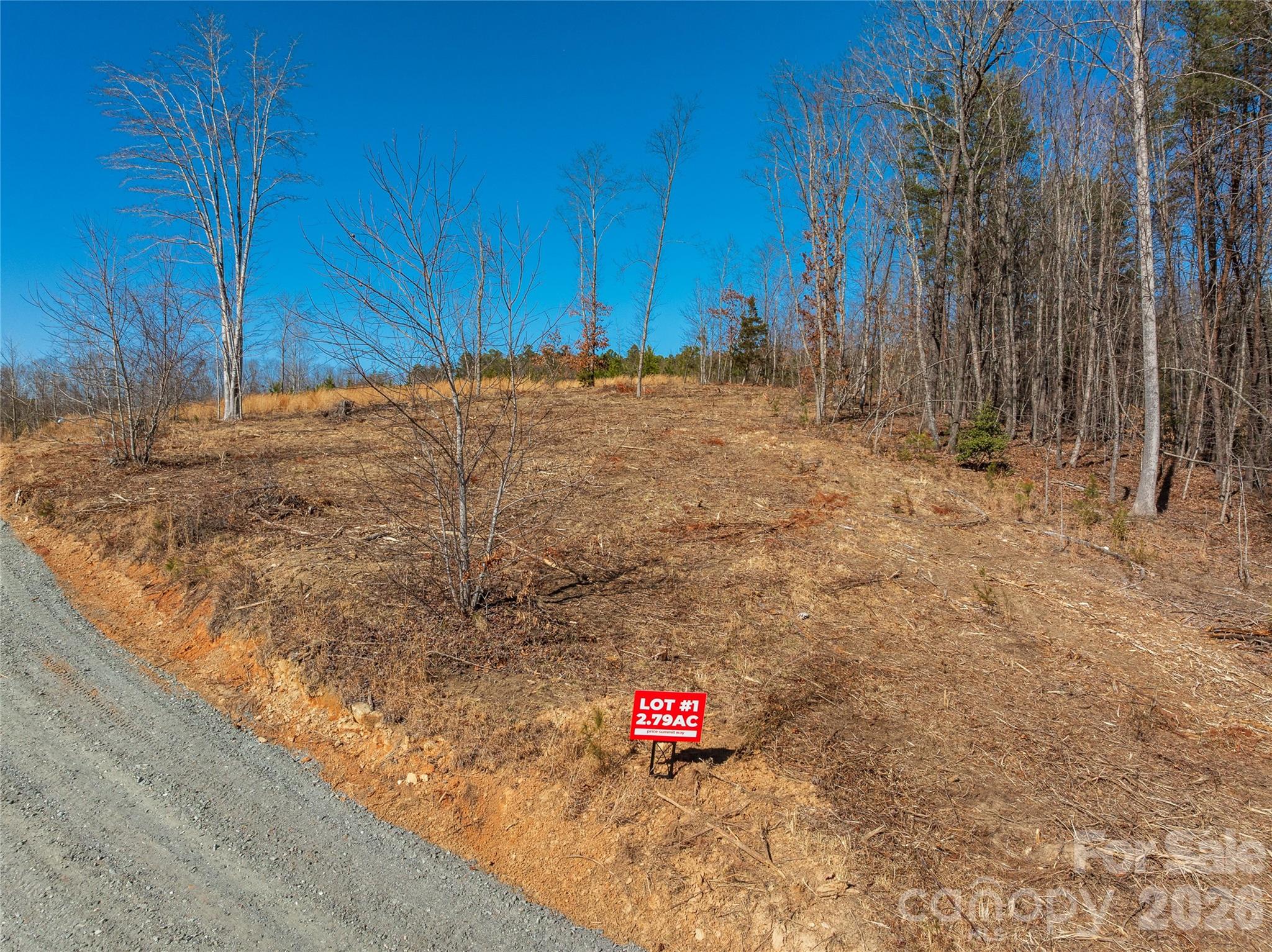 LOT #1 Price Summit Way