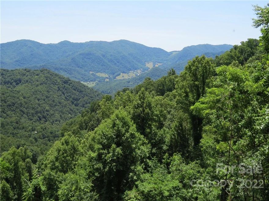 Prime home-site with 270 degree long range views in the gated community of Whisper Mountain. Embrace yourself - 450 Acres of nature within the Southern Highlands of the Blue Ridge Mountains. Only 50 unique homesites nestled among gentle creeks, winding trails, and protected wild-lands. Tour Sky Valley Lodge, a magnificent, rustic owner's lodge crafted from 160 year old hemlock timbers harvested from the property as well as local Madison County stone harvested from nearby Doggett Mountain. The lodge is fully furnished with a massive stone fireplace, kitchen, dining and room for entertainment including fully equipped exercise room, sauna, spa, and multiple decks with long range and valley views. Within the gated community you can share the gardens, gazebos, waterfalls, flowing creeks, streams, and preserved land with miles of hiking trails. FIBER LINES ARE NOW ACTIVE AND HIGH INTERNET SPEED NOW AVAILABLE.