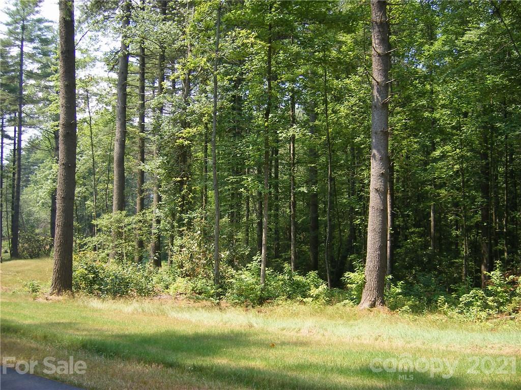 Mountain Brook - Land