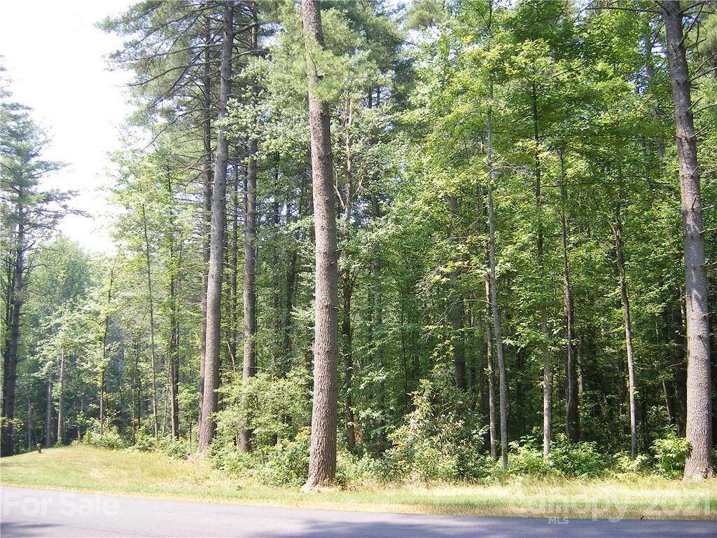 Mountain Brook - Land