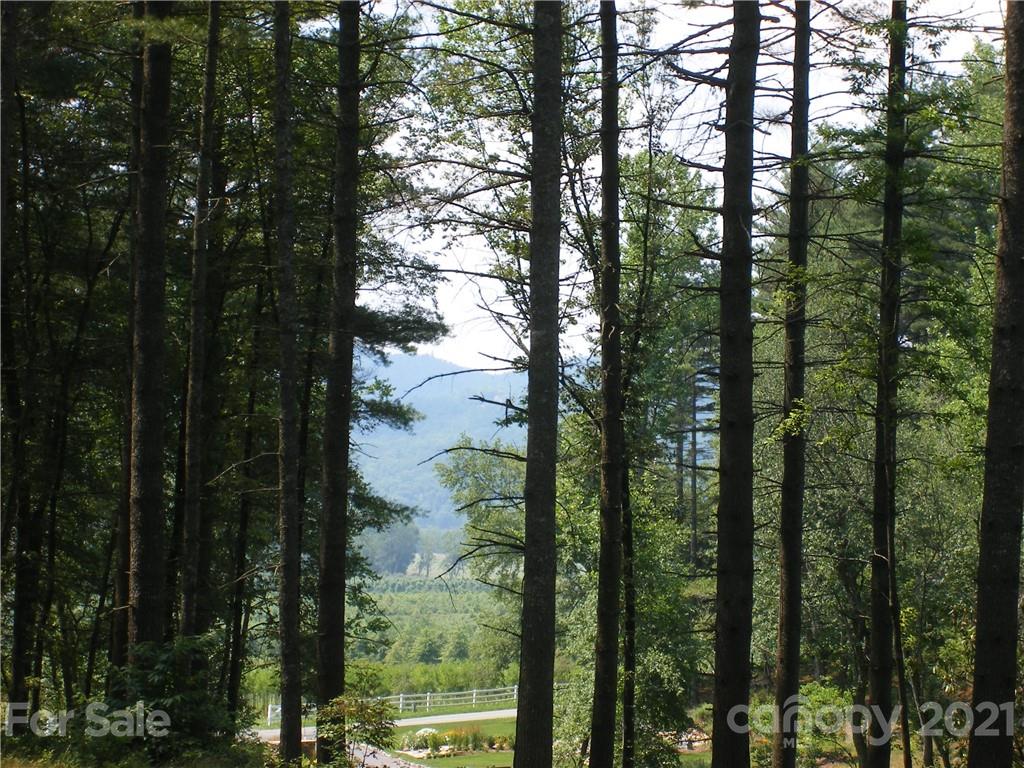 Mountain Brook - Land