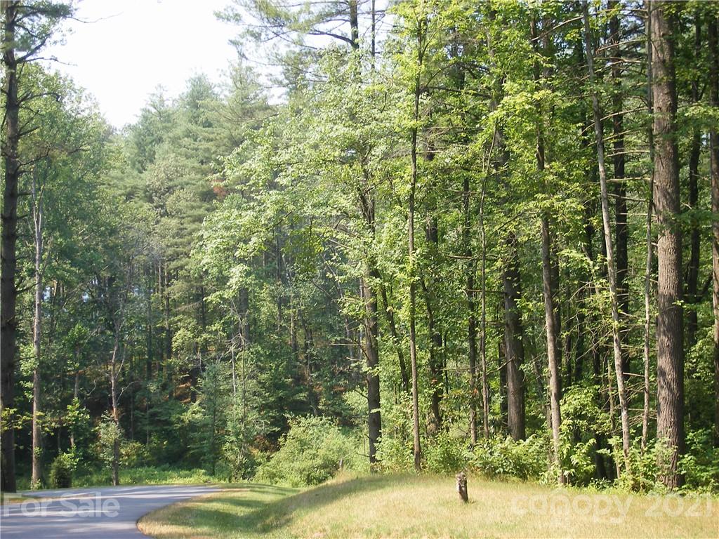 Mountain Brook - Land