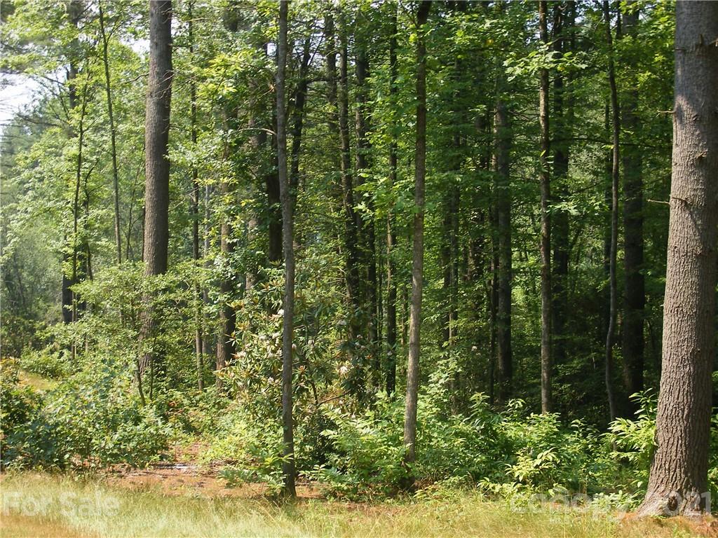 Mountain Brook - Land