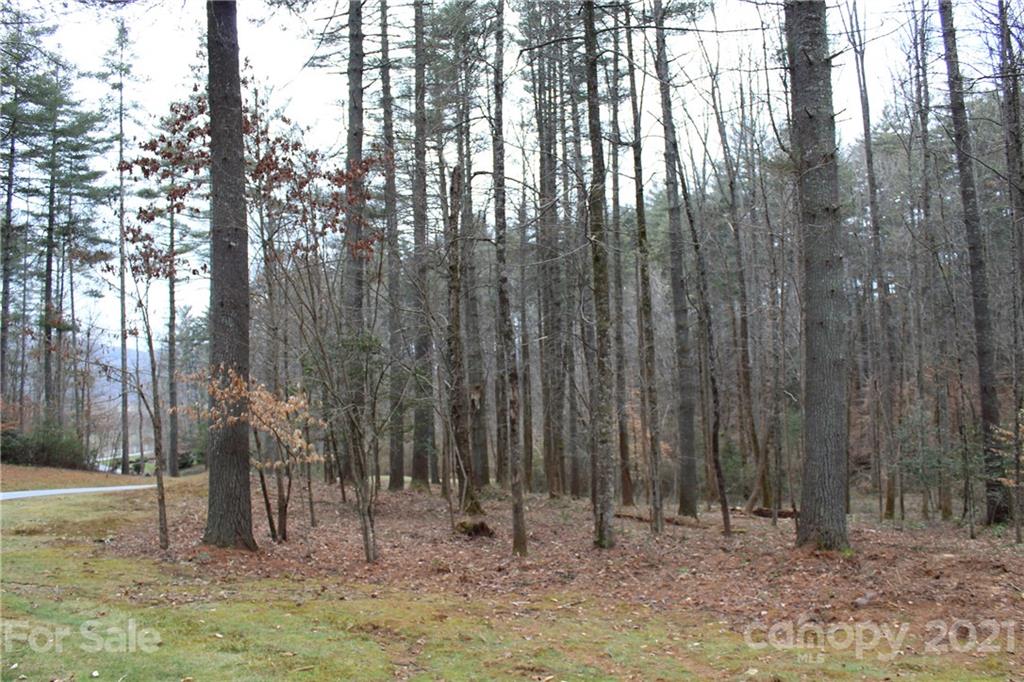 Mountain Brook - Land