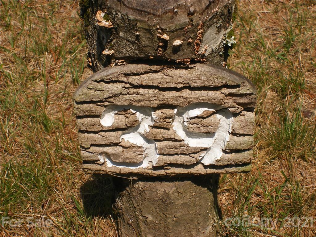 Mountain Brook - Land