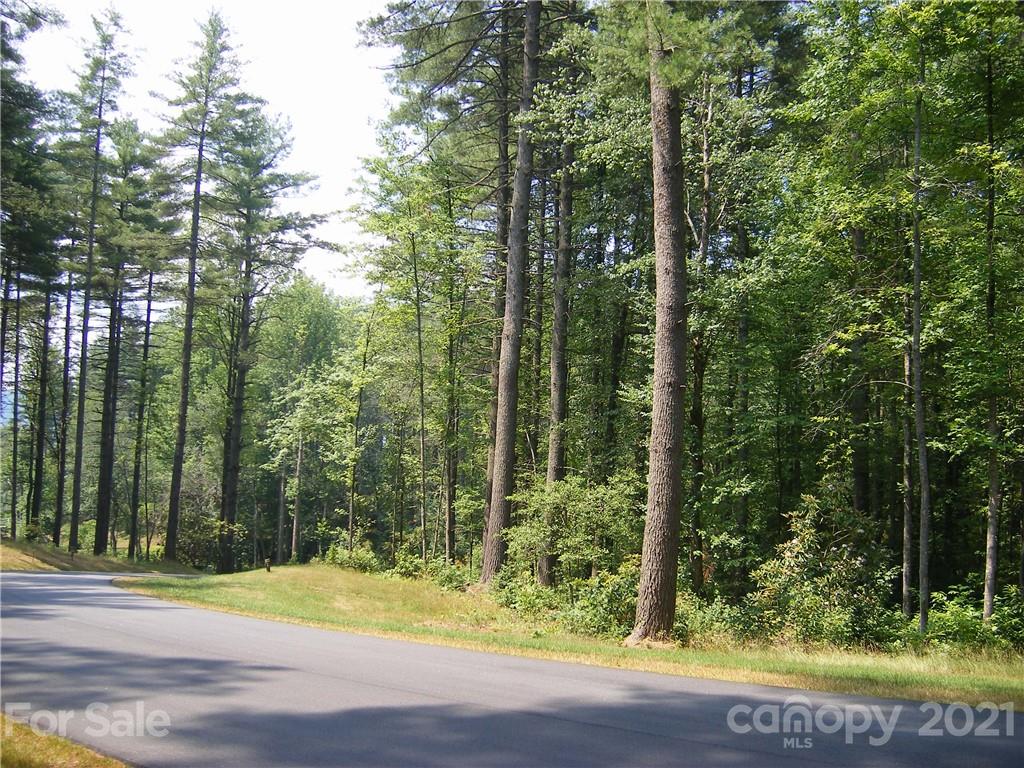 Mountain Brook - Land