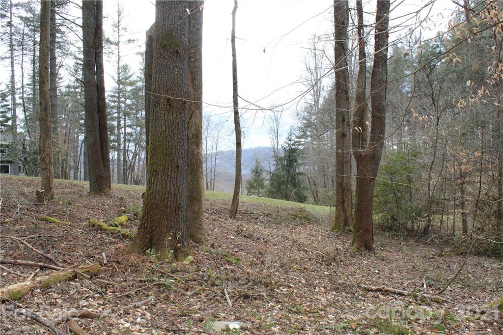 Mountain Brook - Land