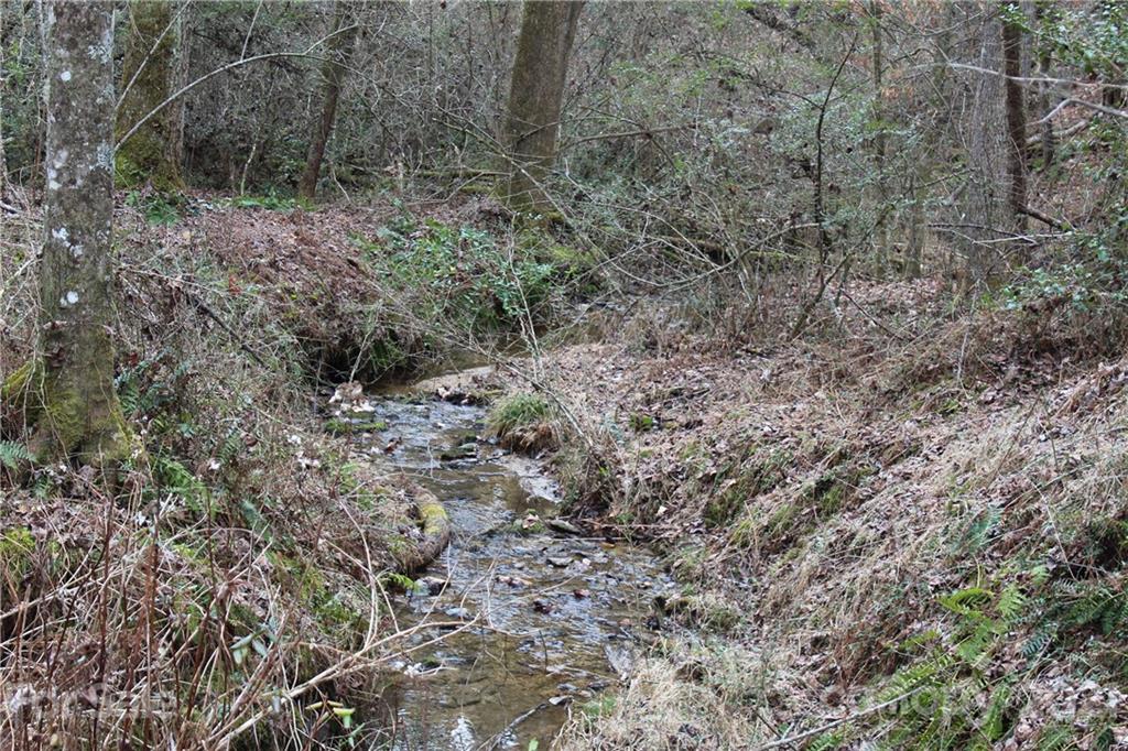 Mountain Brook - Land