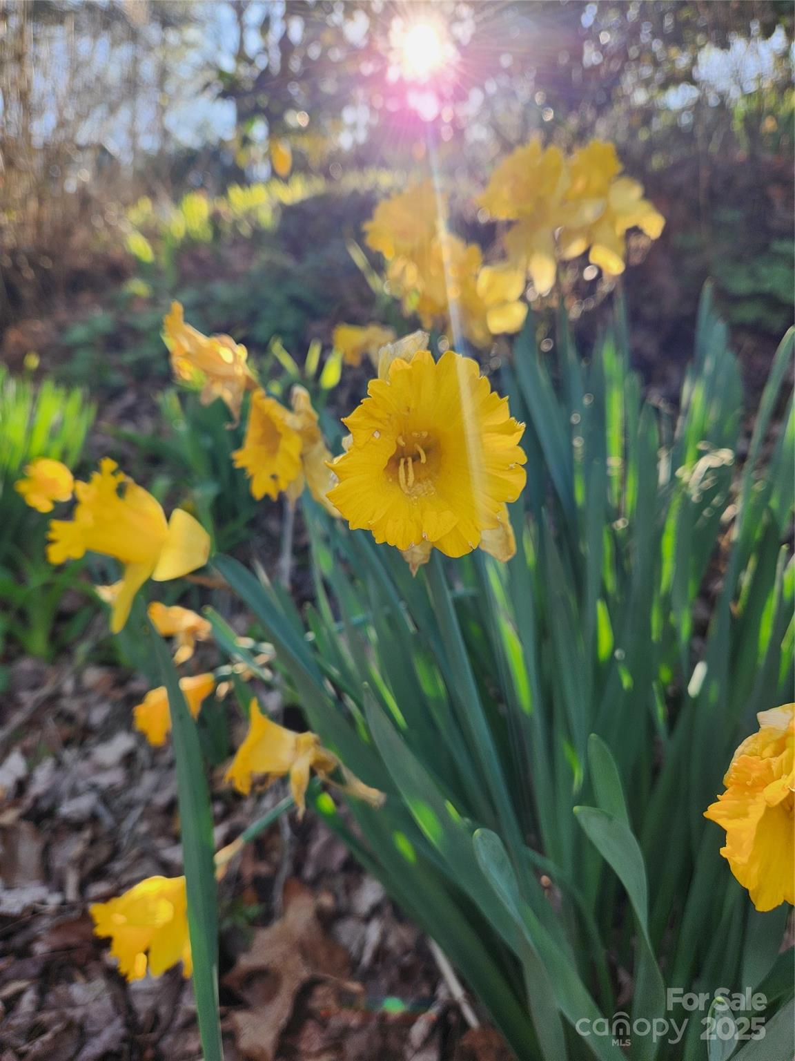 Hickory Hill - Residential